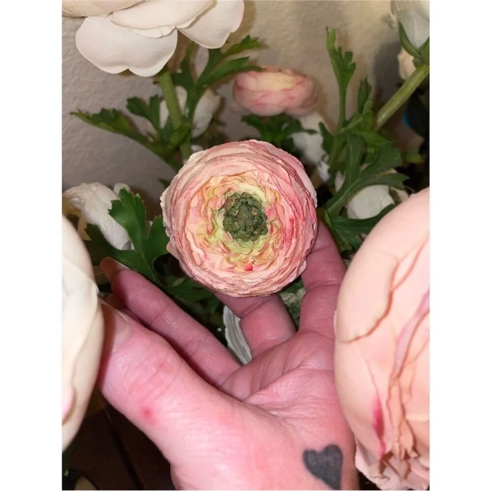 Z Gallerie Exquisite Ranunculus Stems The Epitome of Romantic Elegance set of 9